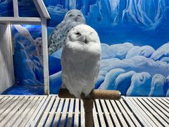 -成都浩海立方海洋公园