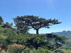 -圣莲山风景区