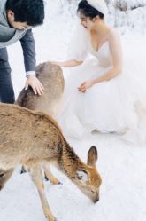 -盛夏光年studio·美学·电影感·定制