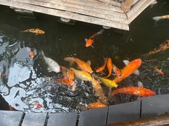 -上海昆虫博物馆