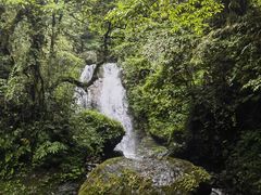 -瓦屋山景区