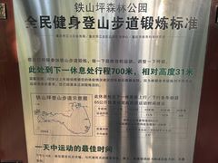-铁山坪森林公园
