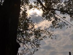 -北陵公园