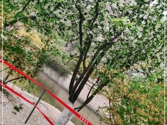 -元大都城垣遗址公园