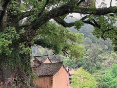 -杨家堂村