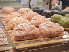 蜜蜜芝士火龙果-奈雪的茶(红谷滩万达广场店)