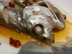 古法蒸大白-西塘人家•黑金冠本地好店
