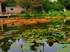 -国家植物园南园