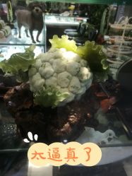 -官园珠宝城(富通大厦店)