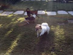 -太阳岛度假酒店