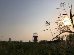 -永定河休闲森林公园