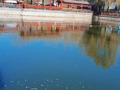 -尚庄度假村·庭台树下·户外烧烤·团建CS·轰趴营地(上庄水库店)