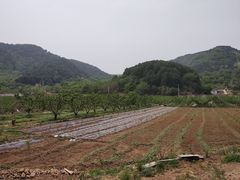 -老象峰