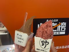 -野人先生现做冰淇淋(北京王府井东方新天地店)