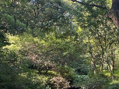 -杭州半山国家森林公园