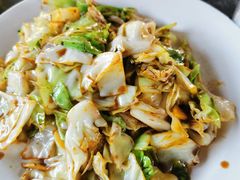 包菜-京北渔家傲