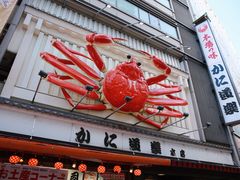 -蟹道乐(道顿堀本店)