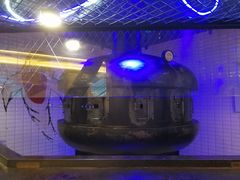 -炉鱼(爱琴海购物公园店)