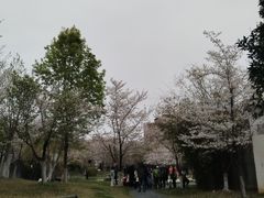 -堤角公园