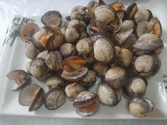 -宾朋海鲜特色美食餐厅·纯手工鲅鱼水饺(兴海路店)