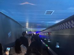 -白鹤梁水下博物馆