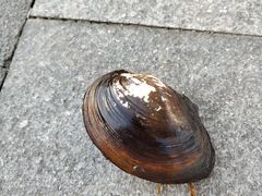 -长广溪湿地公园