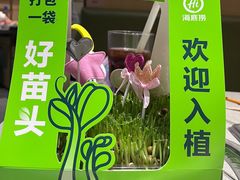-海底捞火锅(吾悦广场店)