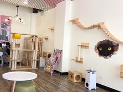 大堂-喵匠猫主题咖啡(凯德和平广场店)