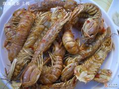 虾虎，就是濑尿虾啦-海岛渔村大酒店(云霄路店)