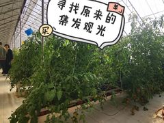 -北戴河集发农业梦想王国