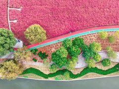 -羊亭河湿地公园