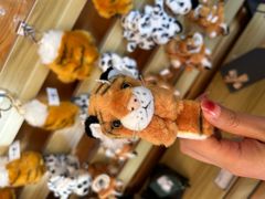 -青藏高原野生动物园