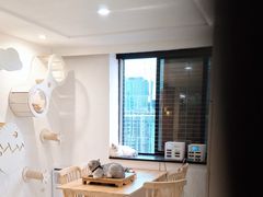 -楼上猫咖(罗湖店)