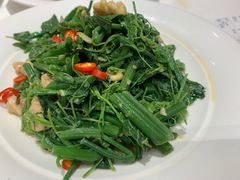 -凯鸽酒楼•雁北民间菜(华北星店)