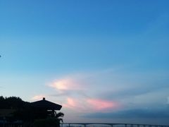 -大湾区中央湿地公园