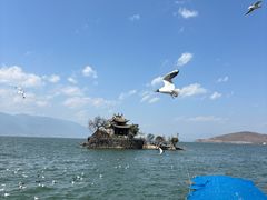 -小普陀