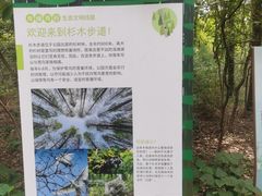 -同里国家湿地公园