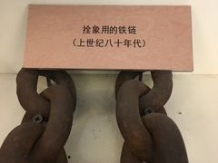 -北京动物园-畅观楼