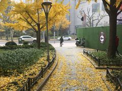 -新航道雅思托福·留学·考研培训(人民广场校区)