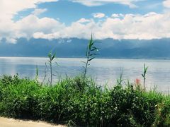 -大理洱海