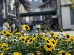 -Let's Taipei 非常烘焙(太古里店)