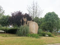 -白鹭湾湿地公园