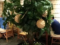 -云来居素食馆(南山店)