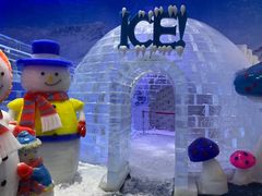 -宁波冰雪大世界(北仑区)