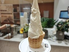 -野人先生现做冰淇淋(贵阳万象汇店)