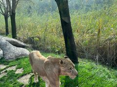 -北京野生动物园