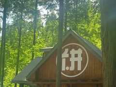 -黄海国家森林公园