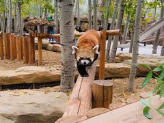 -北京野生动物园