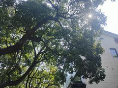 -东吴面馆(因果巷店)