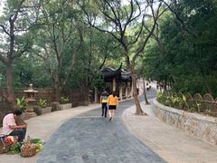 -灵岩山风景区